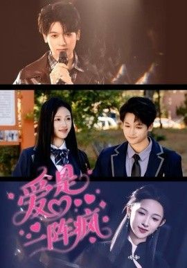 爱是一阵疯 高清封面