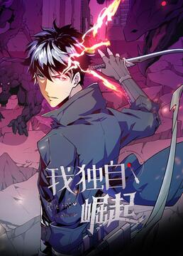我独自崛起 高清封面
