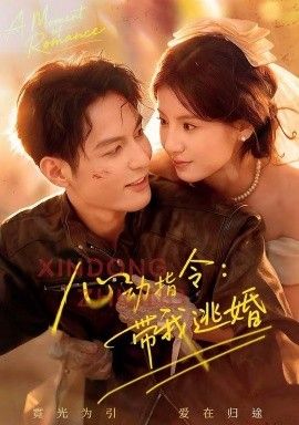 心动指令：带我逃婚，玫瑰窃贼 封面