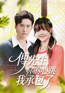 傅先生，你的心跳我承包了 高清封面