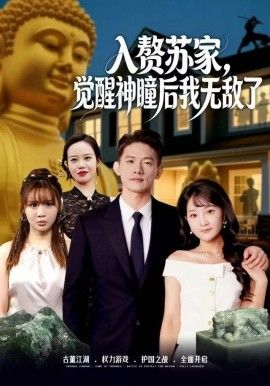 赘苏家，觉醒神瞳后我无敌了 高清封面