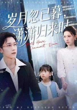 岁月忽已暮，潇潇归来时 封面