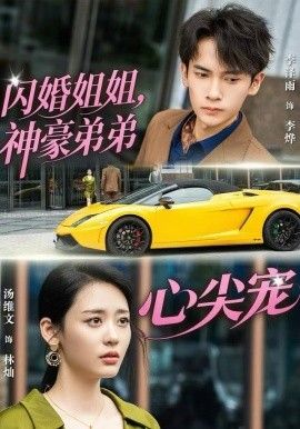 闪婚姐姐，神豪弟弟心尖宠 封面