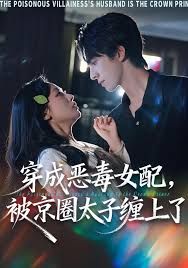 穿成恶毒女配被京圈太子缠上了 高清封面