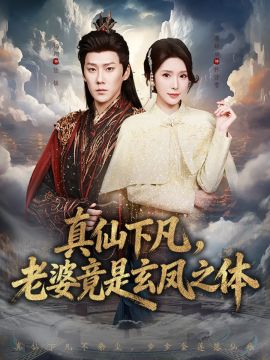 真仙下凡，老婆竟是玄凤之体 封面