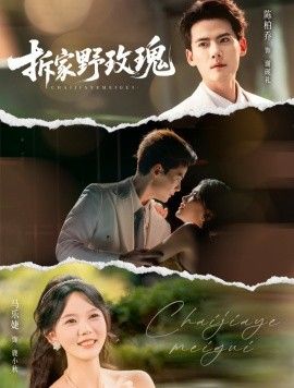 拆家野玫瑰 封面