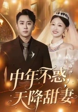 中年不惑，天降甜妻 高清封面