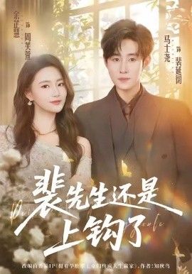 裴先生还是上钩了 高清封面