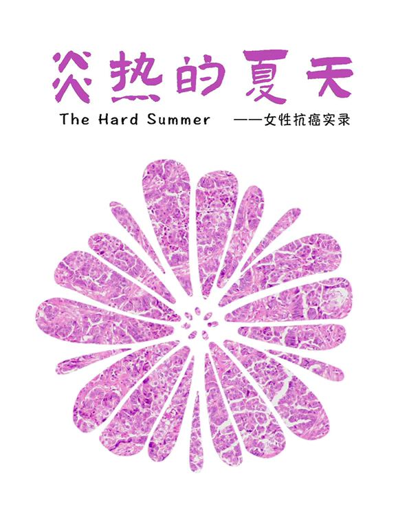 炎热的夏天 热播剧封面