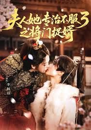 夫人她专治不服3之将门捉婿 封面