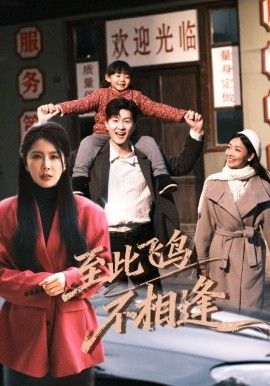 至此飞鸟不相逢 封面