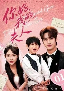 顾总，我才是你的夫人（你好，我的夫人） 高清封面