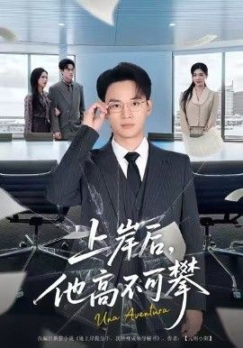 上岸后，他高不可攀 封面