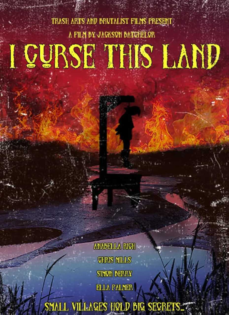 我诅咒这片土地 封面