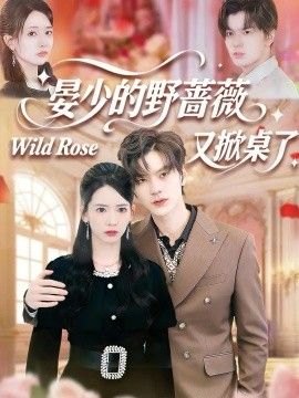 晏少的野蔷薇又掀桌了 封面