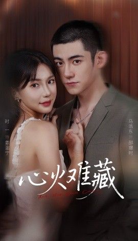 心火难藏 高清封面