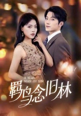 [searchlist:name] 封面