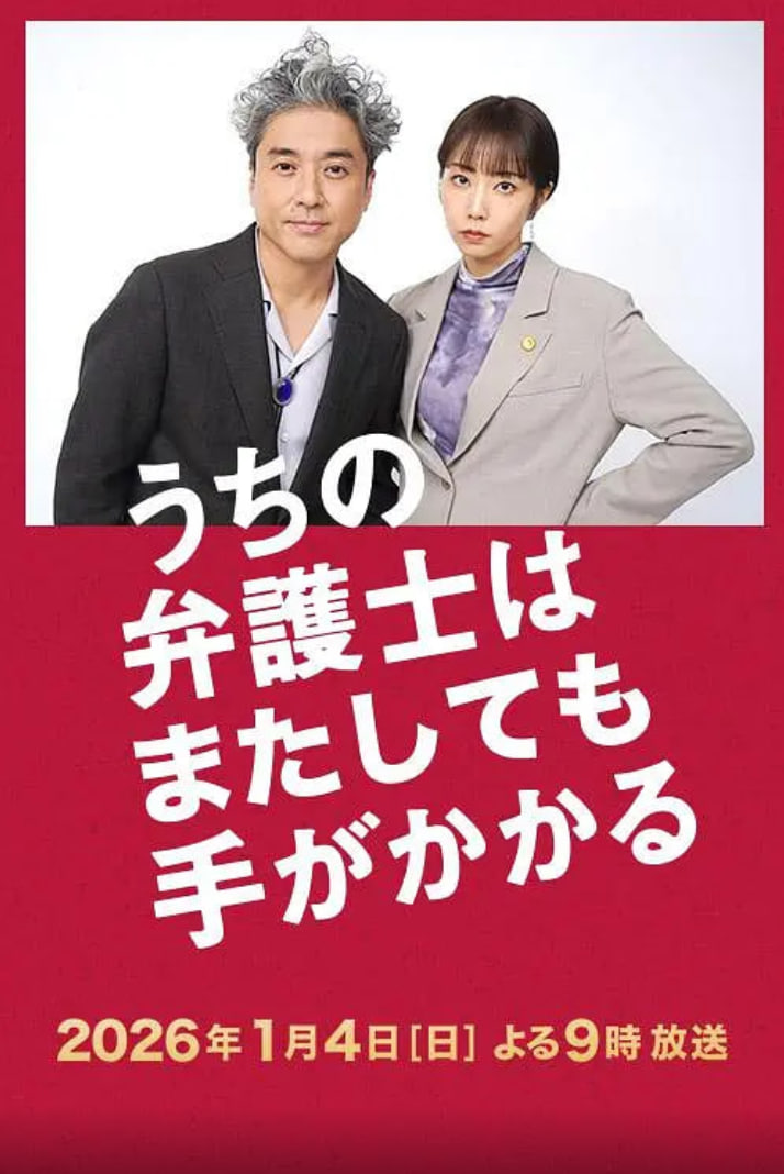 我家的律师又惹麻烦了 封面