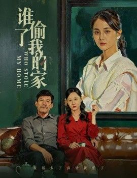 谁偷了我的家 封面
