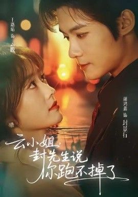 云小姐，封先生说你跑不掉了 高清封面