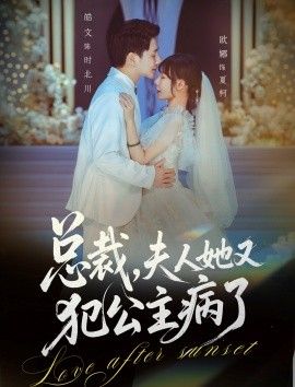 总裁，夫人她又犯公主病了 高清封面