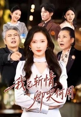 我已斩情，卿哭何用 封面