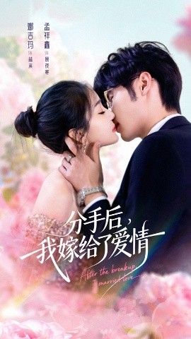 分手后我嫁给了爱情 高清封面