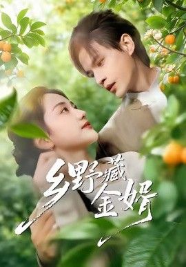 乡野藏金婿 封面