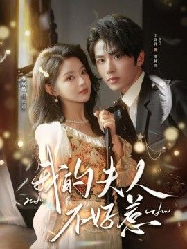 我的夫人不好惹，你好，我的旅长夫人 高清封面