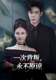 一次背叛，永不原谅 封面