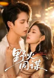 野火同谋 高清封面