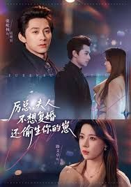 厉总，夫人不想复婚还偷生你的崽 高清封面