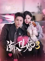 渐入佳婚3第三部 封面