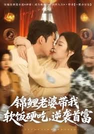 锦鲤老婆带我软饭硬吃，逆袭首富 封面