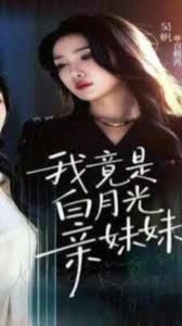 我竟是白月光亲妹妹 高清封面