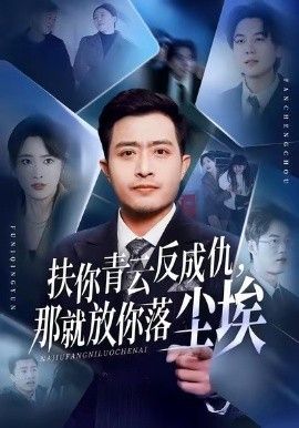 扶你青云反成仇，那就放你落尘埃 封面