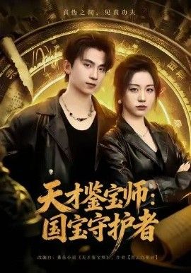 天才鉴宝师：国宝守护者 高清封面