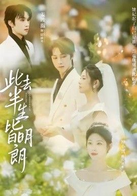 此去半生皆明朗 封面