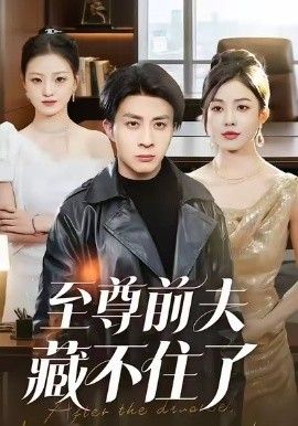 至尊前夫藏不住了 封面