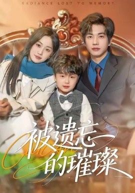 被遗忘的璀璨 封面