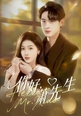 你好，萧先生 高清封面