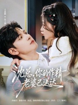 沈总，你的作精老婆已送达 高清封面