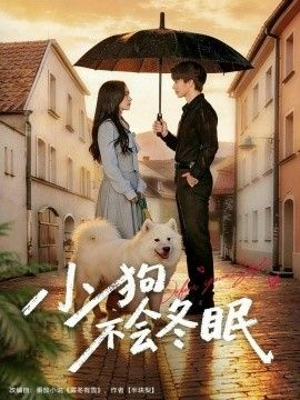 小狗不会冬眠 封面