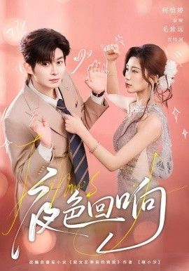 夜色回响 高清封面