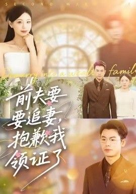 前夫要追妻，抱歉我领证了 封面