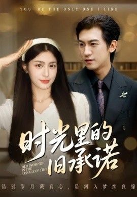 时光里的旧承诺，重逢是场盛大告白 高清封面