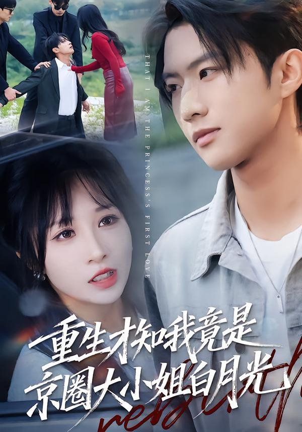 重生才知我竟是京圈大小姐白月光 高清封面