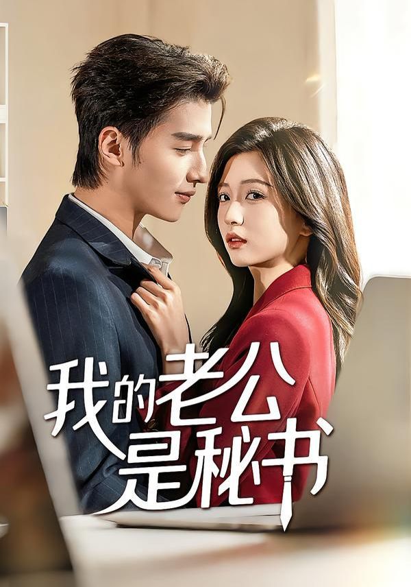 我的老公是秘书 高清封面