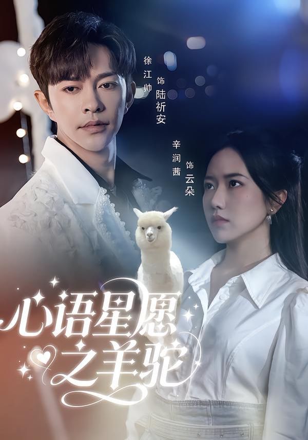 心语星愿之羊驼 高清封面