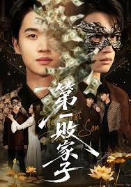 第一败家子 封面